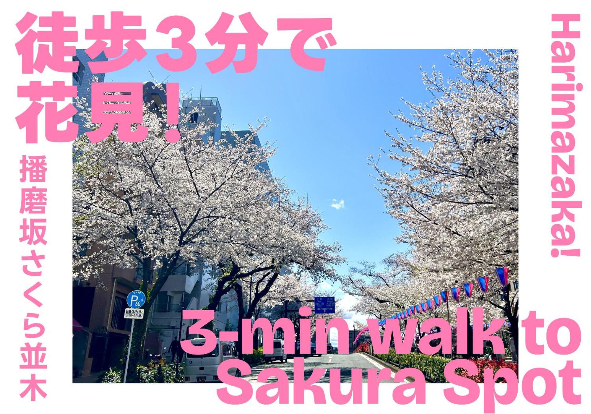 D旅館　Dryokan — Photos 3